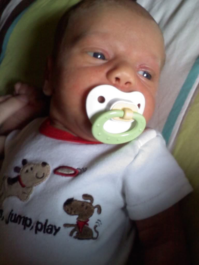 Boy Binky Baby Contest BabyGaga